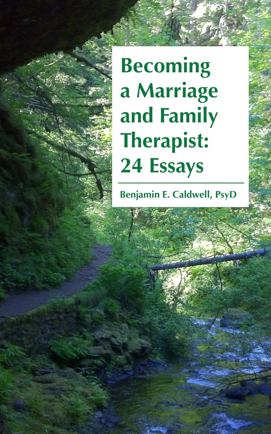 Essays on marriage and family counseling